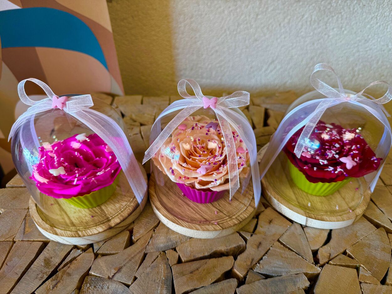 Petite  Cloche de Cup cake