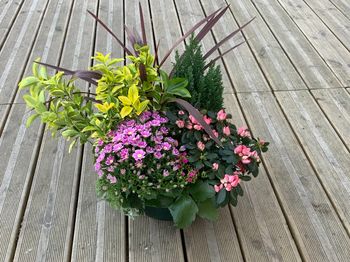 Coupe de plantes d’extérieur