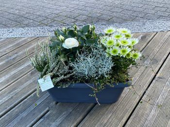 Jardinièrede plantes d’extérieures