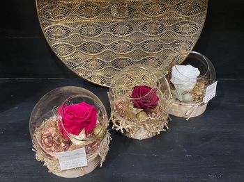 Rose éternelle noëlisée