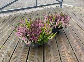 Coupe de bruyère Vanille/Fraise