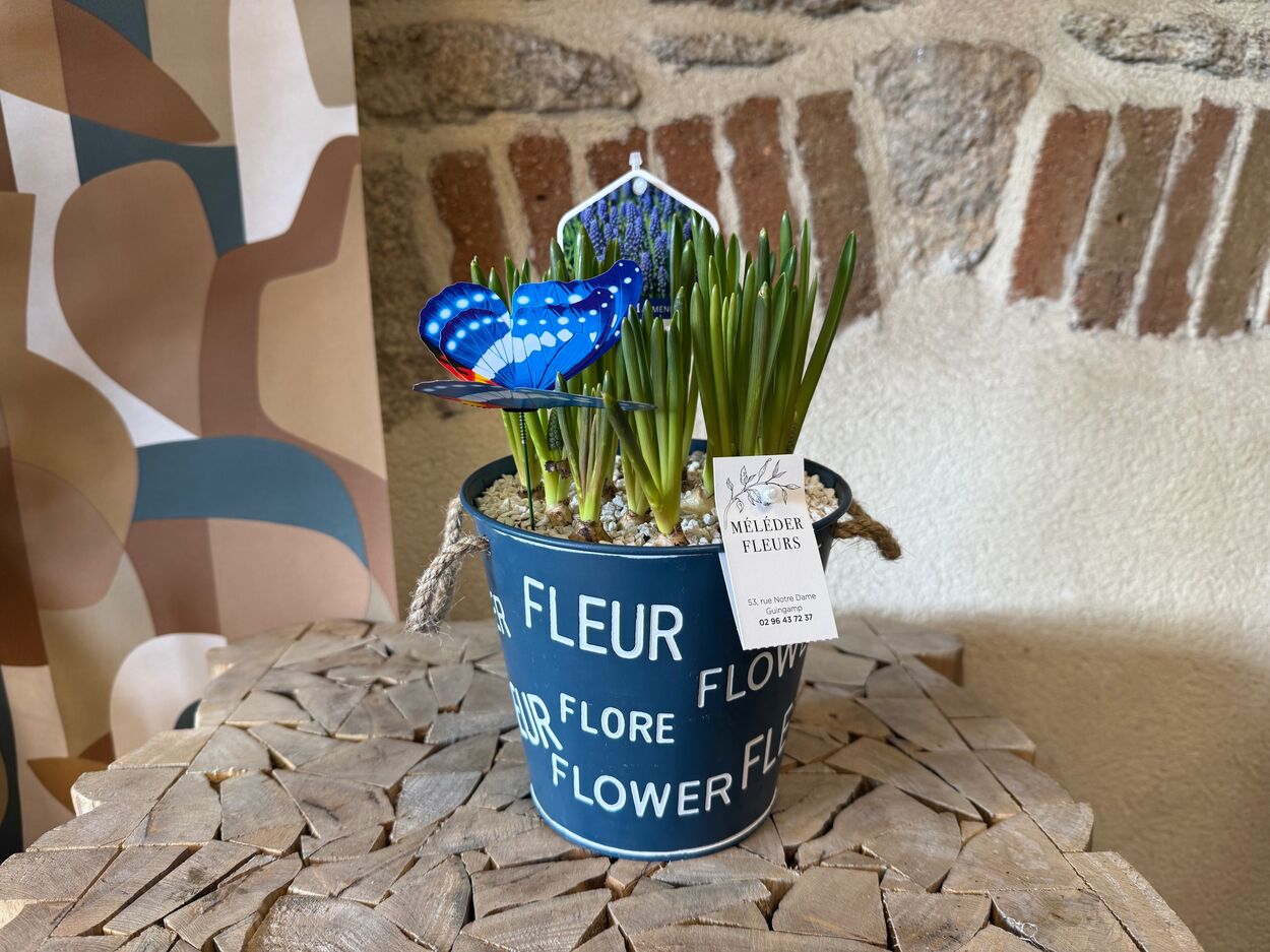 La potée de Muscaris