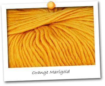 Paraiso 100 gr - Orange Marigold