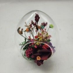 Oeuf et plantes stabilisées S