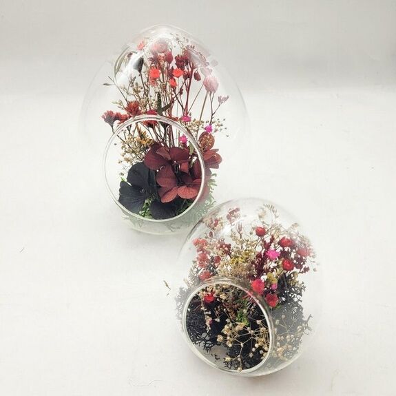 Oeuf et plantes stabilisées M