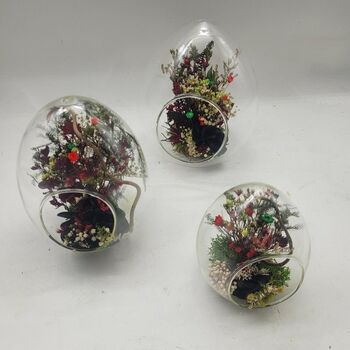 Oeuf en verre et plantes stabilisées L