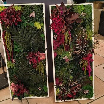 Tableau stabilisé jäkälä 30 x 60