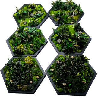 Tableau stabilisé hexagonal