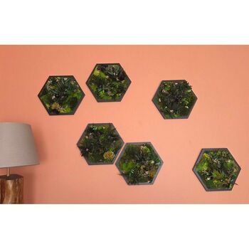 Tableau stabilisé hexagonal