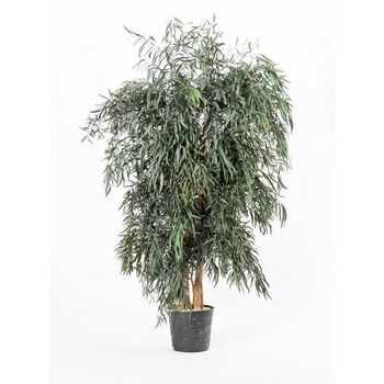 Arbre Nicoly large