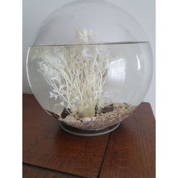 Biosphère crevettes 20 cm