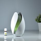 Deco plante grasse Deco plante grasse