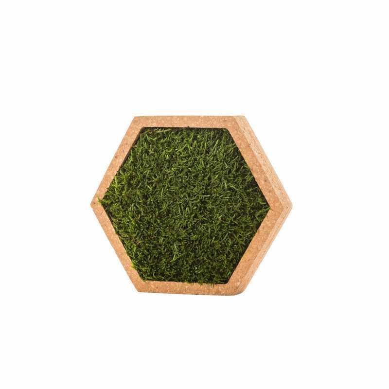 Tableau végétal stabilisé mousse hexagonal S