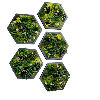 Tableau stabilisé hexagonal