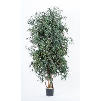 Arbre Nicoly large