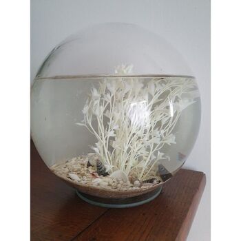 Biosphère crevettes 20 cm