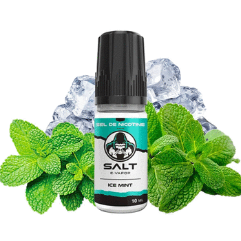 Ice Mint - Sel de Nicotine - Le French Liquide
