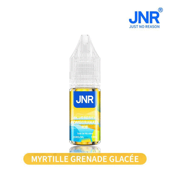 Blueberry Pomegrate Ice - Sel de Nicotine - JNR
