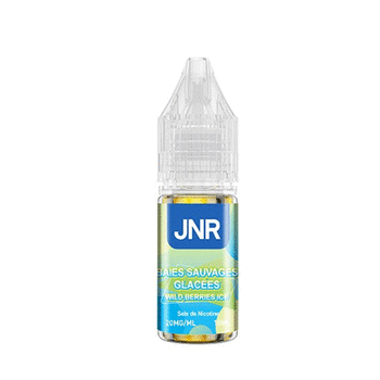 Wild Berries Ice - Sel de Nicotine - JNR