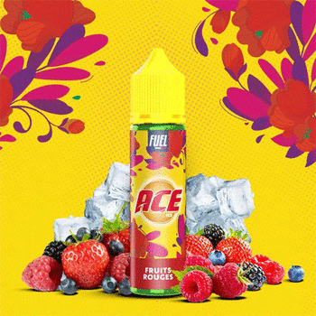Fruits Rouges - Ace Ice - Maison Fuel