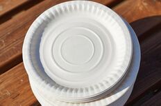 10 assiettes jetables en carton