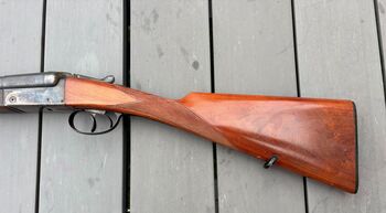 ROBUST 222 (OCCASION)