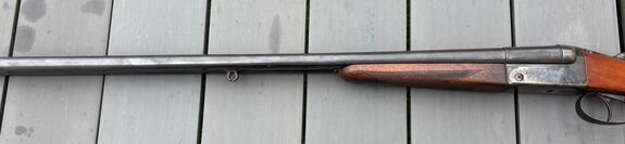 ROBUST 222 (OCCASION)