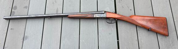 ROBUST 222 (OCCASION)