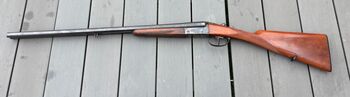ROBUST 222 (OCCASION)