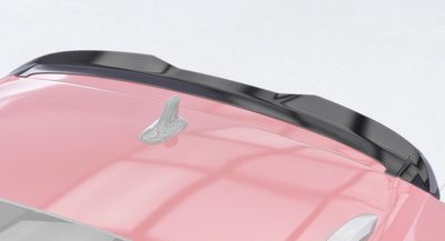 BECQUET DE TOIT VW TIGUAN II ALLSPACE (TYPE AD1) CS STYLE (2017/2023)