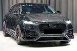 CAPOT CARBONE AUDI Q8 4M (2018+)