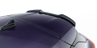 EXTENSION DU BECQUET DE TOIT CUPRA TERRAMAR (2024+)