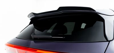 EXTENSION DU BECQUET DE TOIT CUPRA TERRAMAR (2024+)
