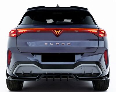 EXTENSION DU BECQUET DE TOIT CUPRA TERRAMAR (2024+)