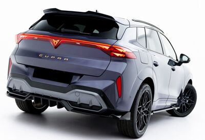 EXTENSION DU BECQUET DE TOIT CUPRA TERRAMAR (2024+)