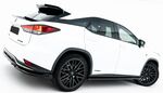 BECQUET DE TOIT LEXUS RX OU RX F SPORT MK4 PHASE 2 TYPE "3D GLOSS BLACK" (2019/2022)