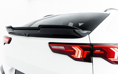 EXTENSION DU BECQUET DE COFFRE D'ORIGINE BMW X2 M35I PHASE 1 (2024+)