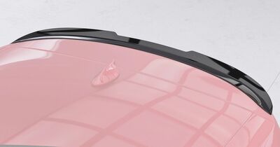 BECQUET DE TOIT FORD S MAX II  "CUP" CS STYLE PHASE 1 (2015/2019) OU PHASE 2 (2019+)