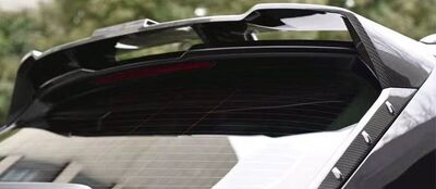 BECQUET DE TOIT CARBONE AUDI RS6 4K/C8 AVANT EVOSTYLE (2019/2024)