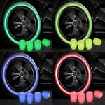BOUCHONS DE VALVES LUMINEUX UNIVERSELS