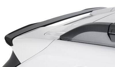 BECQUET DE TOIT DACIA DUSTER III (DJF) RD LINE (2024+)