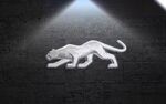 ECLAIRAGE WELCOME LIGHT siglé GAMME FORD PUMA