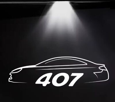 ECLAIRAGE WELCOME LIGHT siglé PEUGEOT 407 (2004/2012)