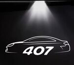 ECLAIRAGE WELCOME LIGHT siglé PEUGEOT 407 (2004/2012)