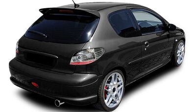 FEUX A LEDS PEUGEOT 206 SMOKE/BLACK LINE (1998/2007)
