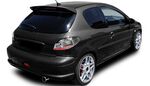 FEUX A LEDS PEUGEOT 206 SMOKE/BLACK LINE (1998/2007)