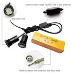 ECLAIRAGE WELCOME LIGHT siglé GAMME RENAULT RS