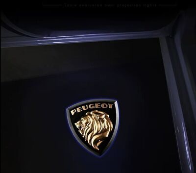 ECLAIRAGE WELCOME LIGHT siglé PEUGEOT RCZ (2009/2016)