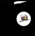 ECLAIRAGE WELCOME LIGHT siglé DODGE CHALLENGER (2008/2019)