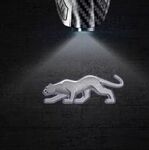 ECLAIRAGE WELCOME LIGHT "USB" siglé GAMME FORD PUMA